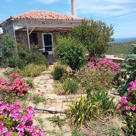 Апартаменти Cozy House With Amazing Sea View Kaminia  Екстер'єр фото