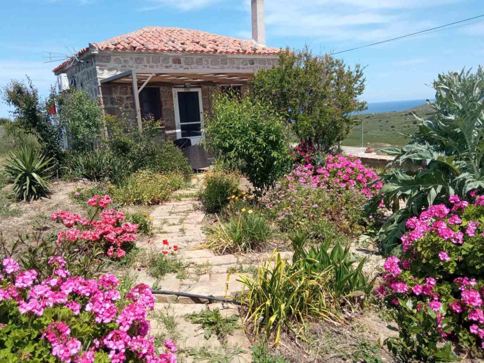Апартаменти Cozy House With Amazing Sea View Kaminia  Екстер'єр фото